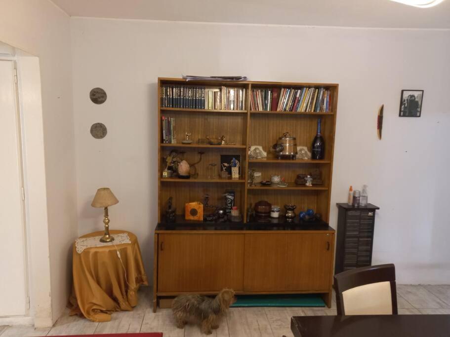 Belgrano Apartment บัวโนสไอเรส ภายนอก รูปภาพ