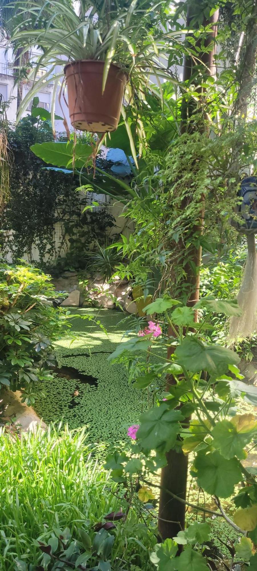 Belgrano Apartment บัวโนสไอเรส ภายนอก รูปภาพ